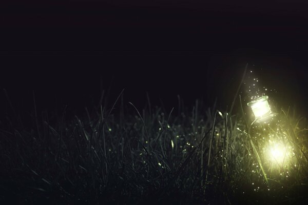 La bottiglia brilla di notte nell erba come una lanterna