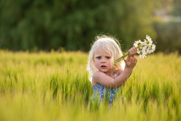 A girl with blonde hair in a field with daisies in her hands