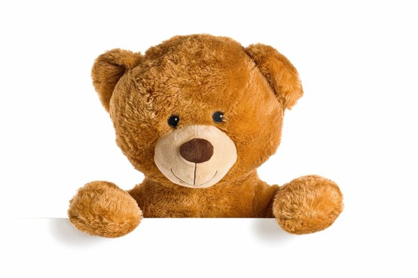 Oso de peluche de juguete y patas