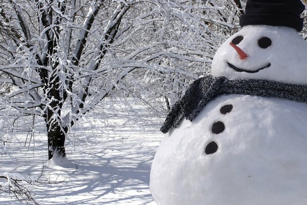 Pupazzo di neve allegro vestito con sciarpa e cappello