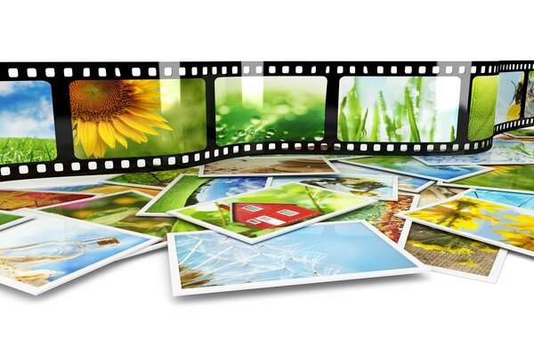 Película fotográfica con imágenes en color de la naturaleza