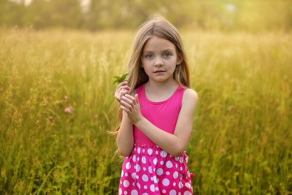 A little girl in a field of grass