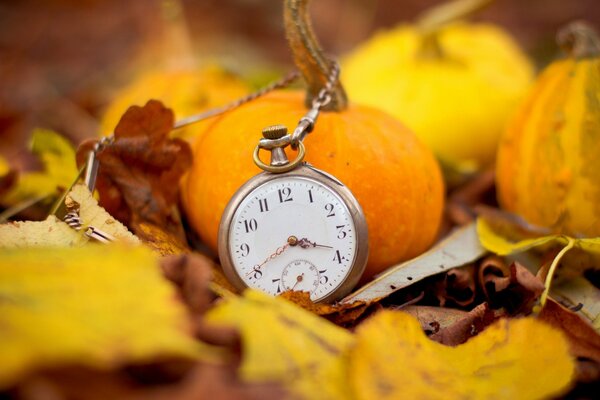  Alles ist seine Zeit im Herbst 2021.
