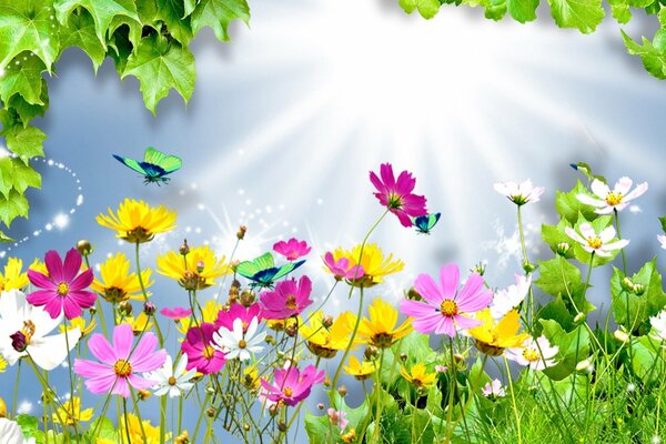 Butterflies fly over beautiful tsaets