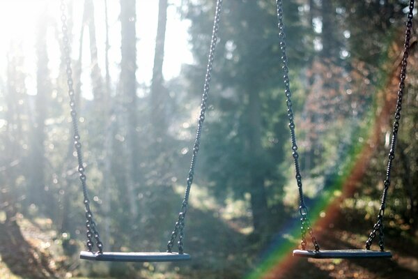 Winged swing in the morning fog