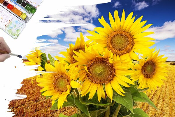 Creative drawing of sunflowers on the field with a brush and paints