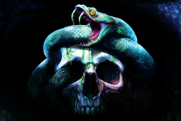 Serpente spaventoso sul cranio al buio
