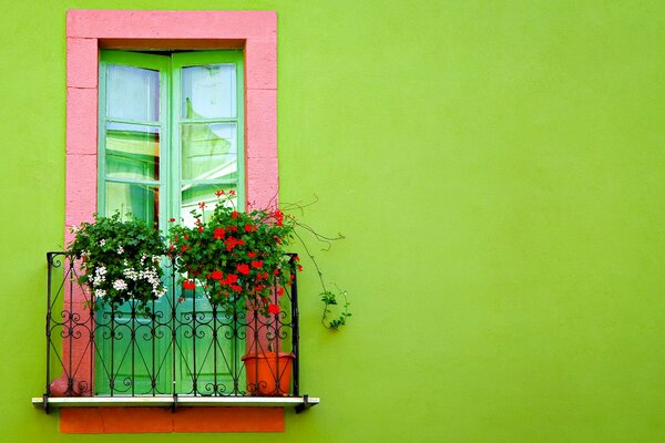 Balcón francés con flores en la pared verde claro