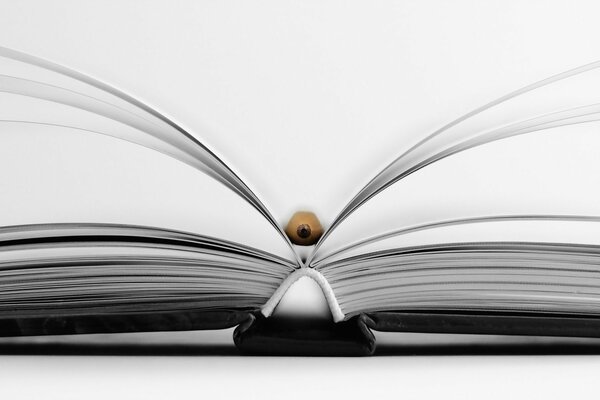 An open book on a light background with a black binding and pencil