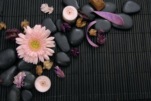 Decorazione rilassante per camere termali con fiori