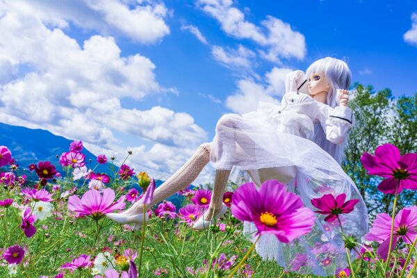 Poupée anime sur fond de nuages et de prairies avec des fleurs roses