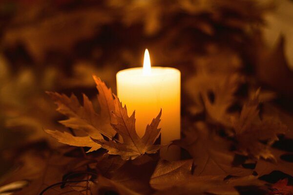 A candle is burning in the autumn maple leaves