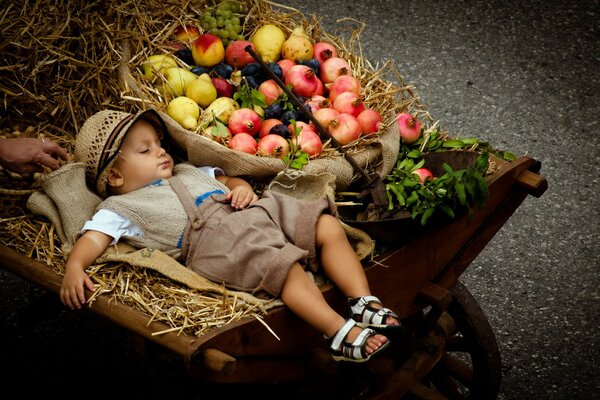 Garçon dans un chariot avec un panier de fruits