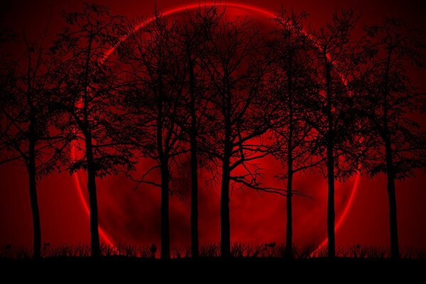 Gran Luna de color fuego árboles, fondo sombrío