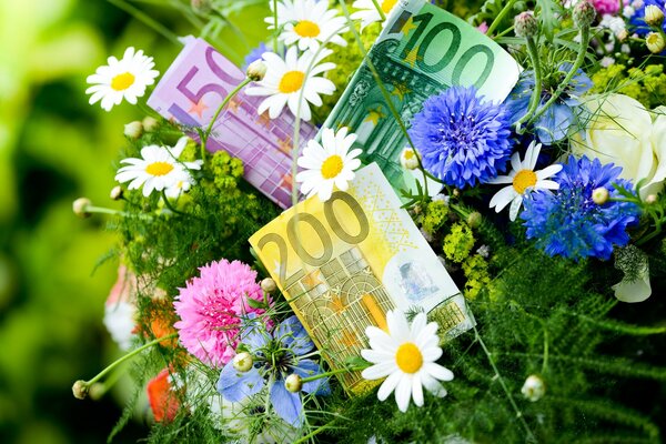 Bouquet di fiori primaverili e banconote in euro