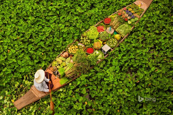 Positive green photo with a Bangkok boatman