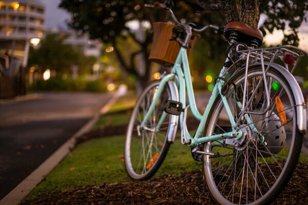 Vélo sur la pelouse du soir avec beau bokeh