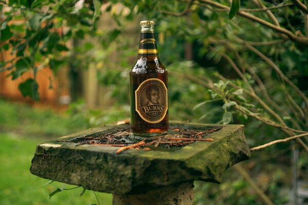 Celebra en Escocia una botella de bokeh