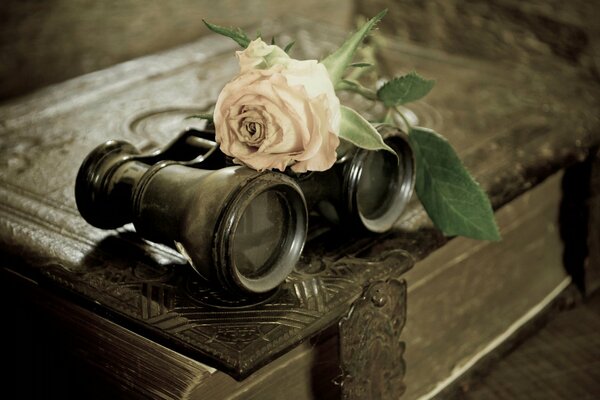 Livre rose et benocle.... Lis!