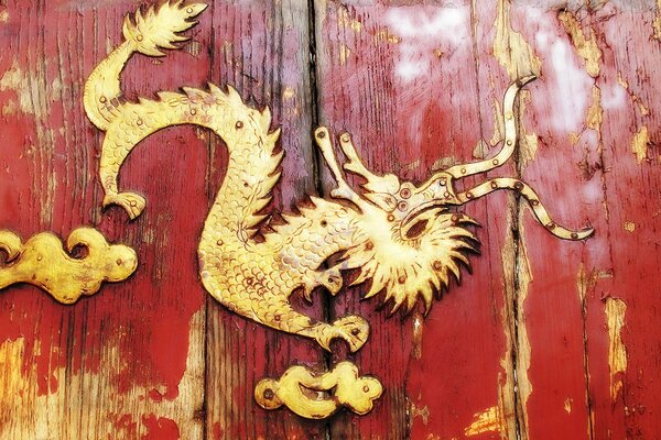 Decoration in the form of a dragon on the doors