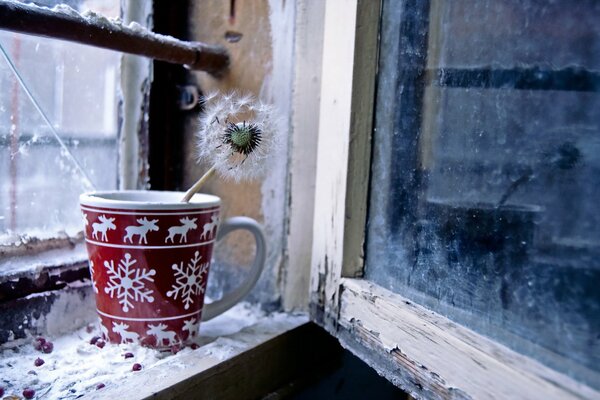Not dandelion warmed on a winter evening