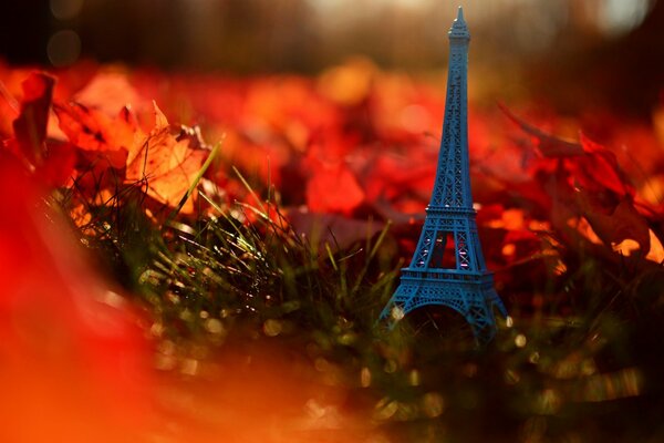 Französischer Herbst Sonnenuntergang in Paris