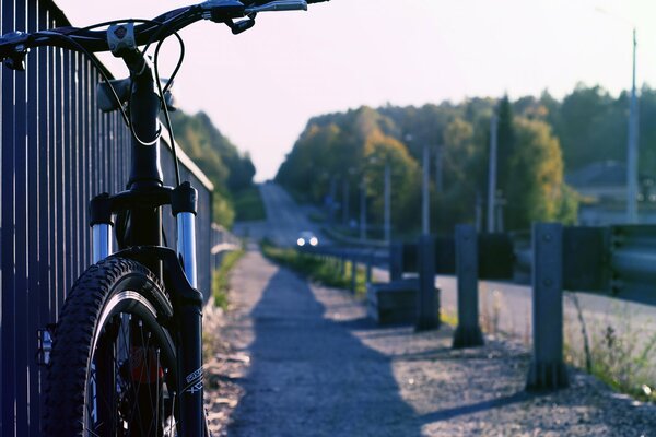 Ambiance ensoleillée pour faire du vélo