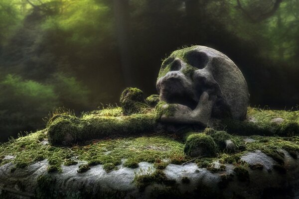 Distortion of a skull overgrown with moss