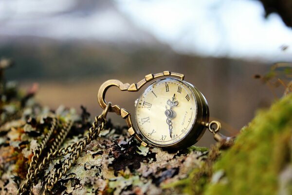 Chaîne sur l horloge dans l écorce d un arbre