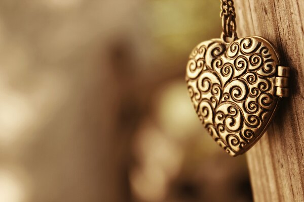 Ciondolo a forma di cuore con ornamento closeup