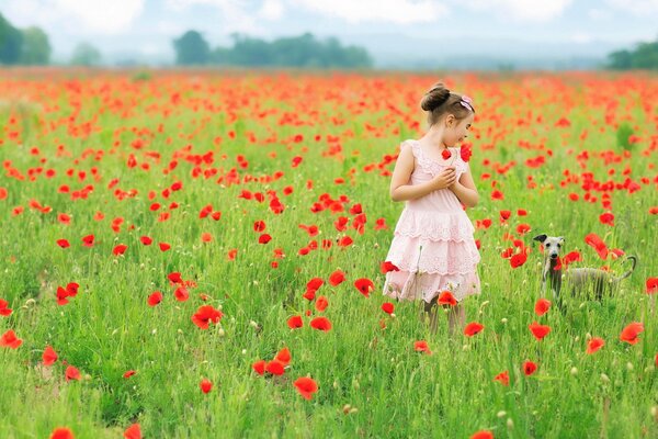 A girl with a dog in summer on a poppy field