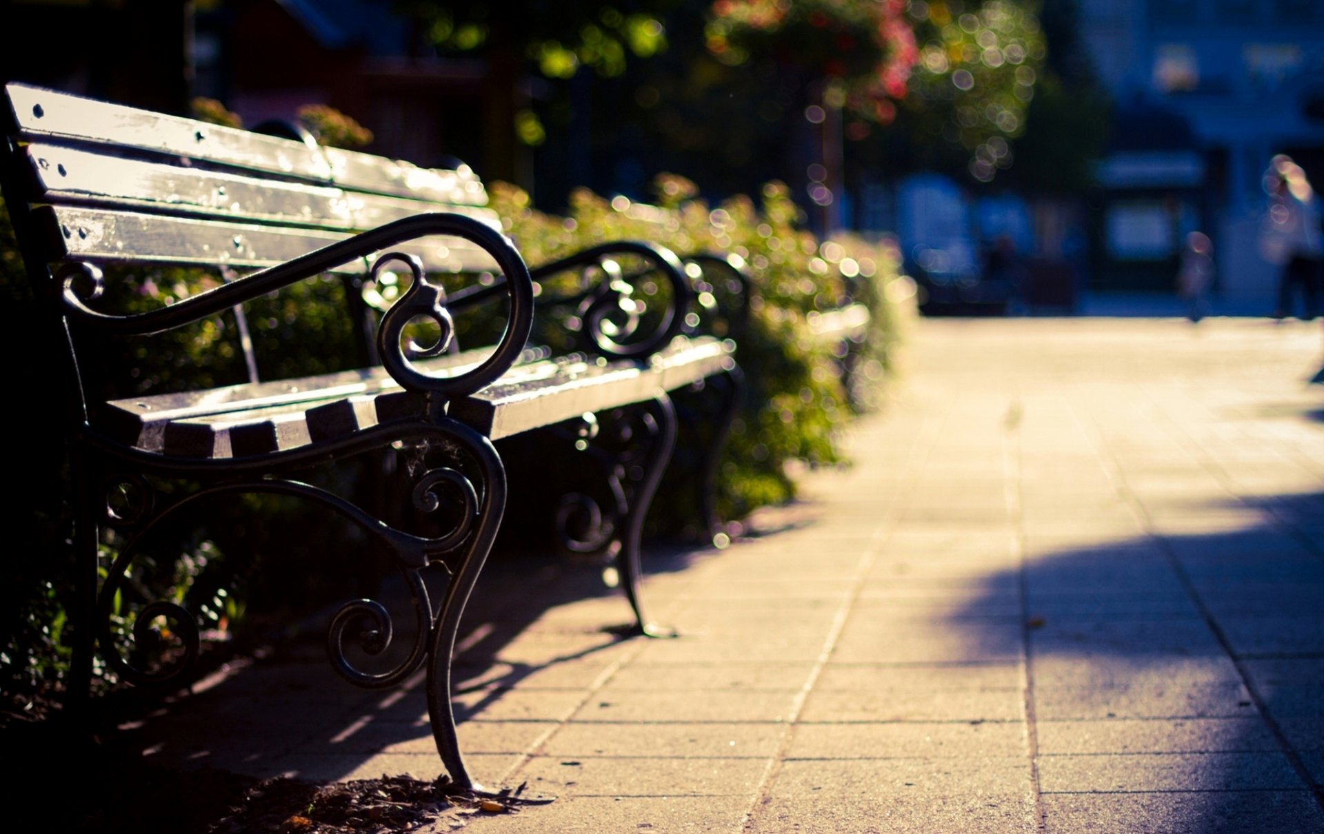 bench bench bench bench tile trees bushes bokeh blur