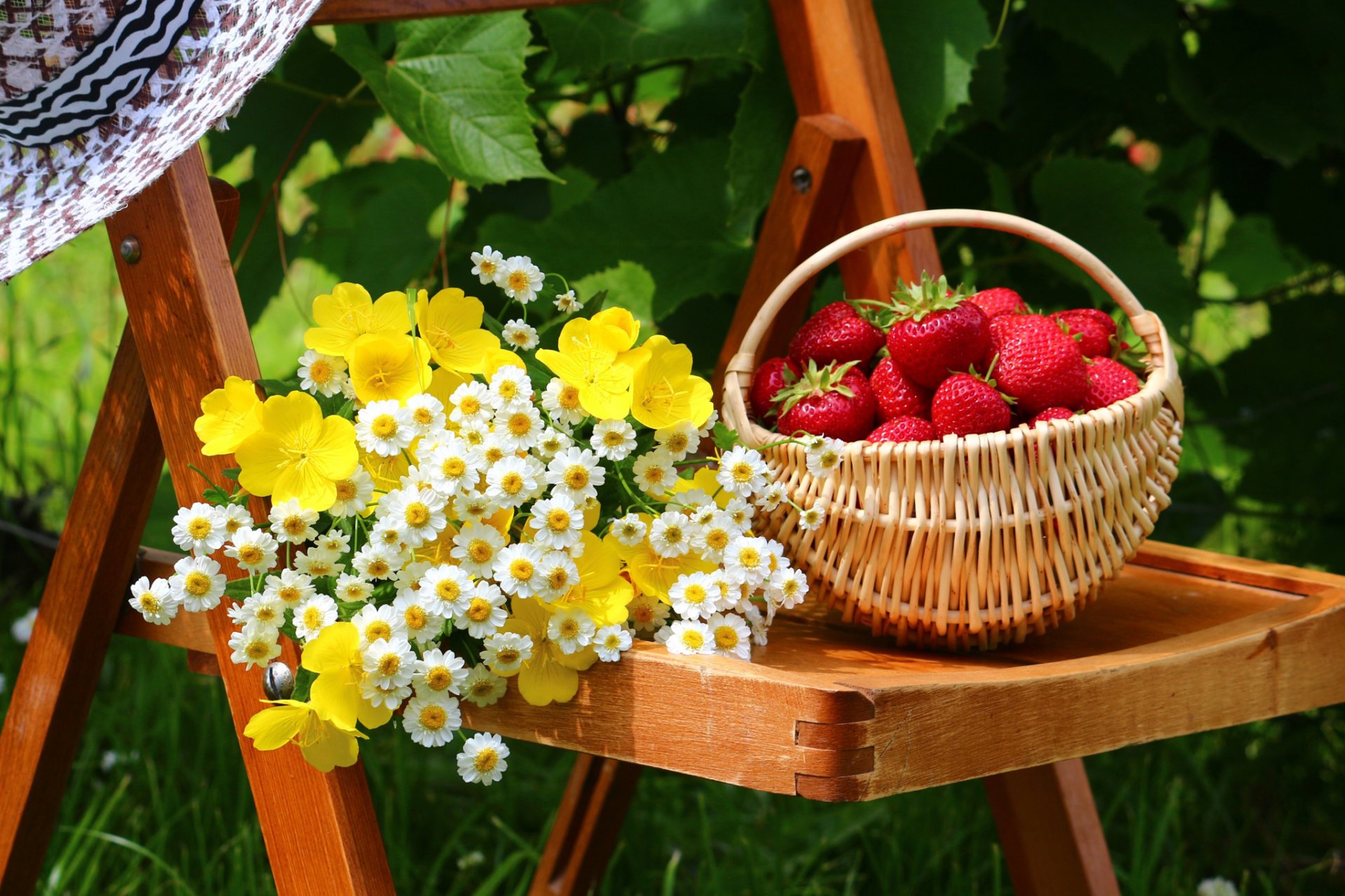 garten hof stuhl hut blumen korb erdbeere beeren