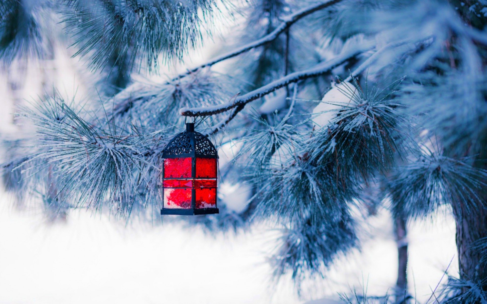 natale capodanno albero di natale neve inverno lanterna