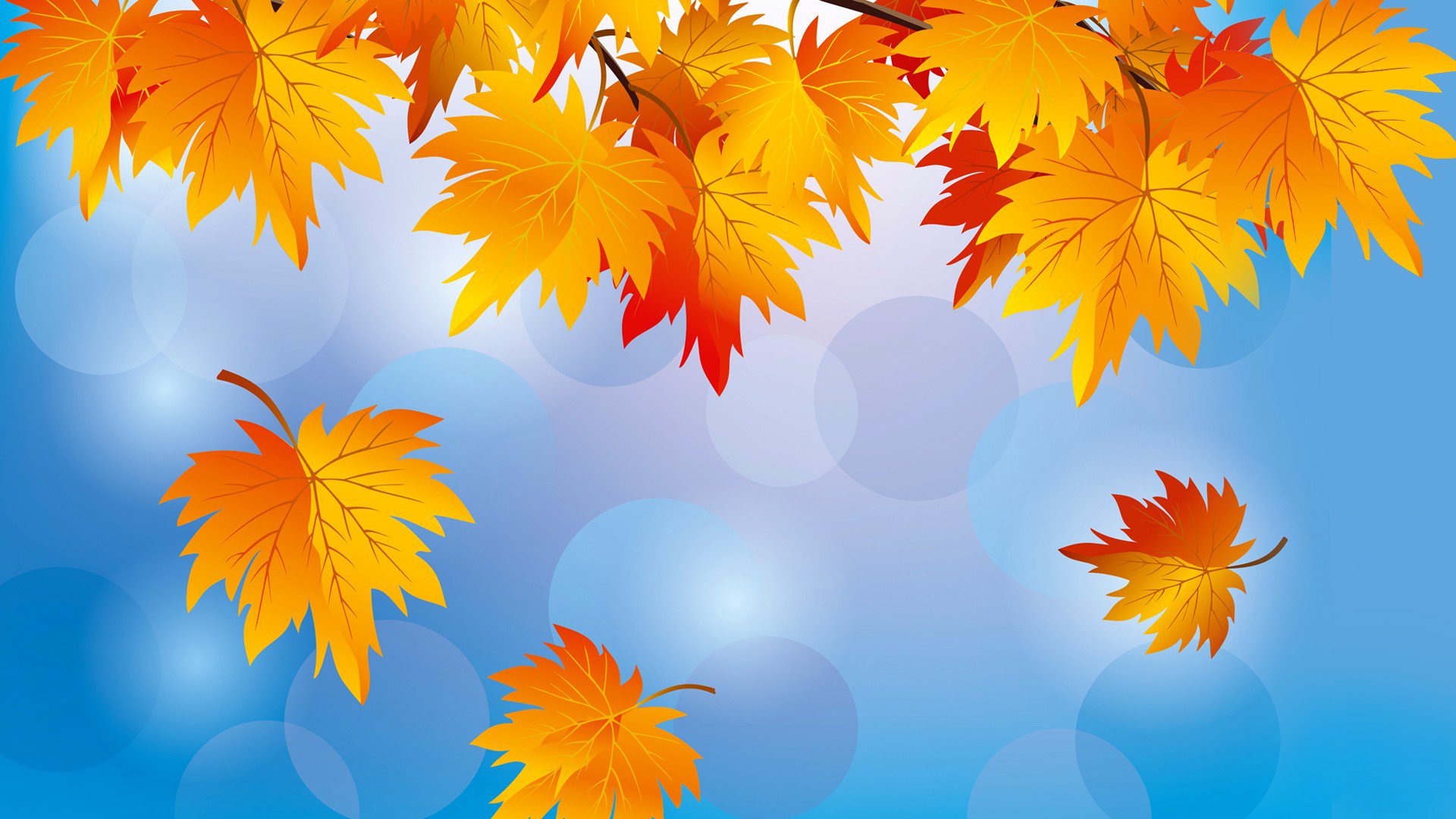 nature sky leaves autumn vector