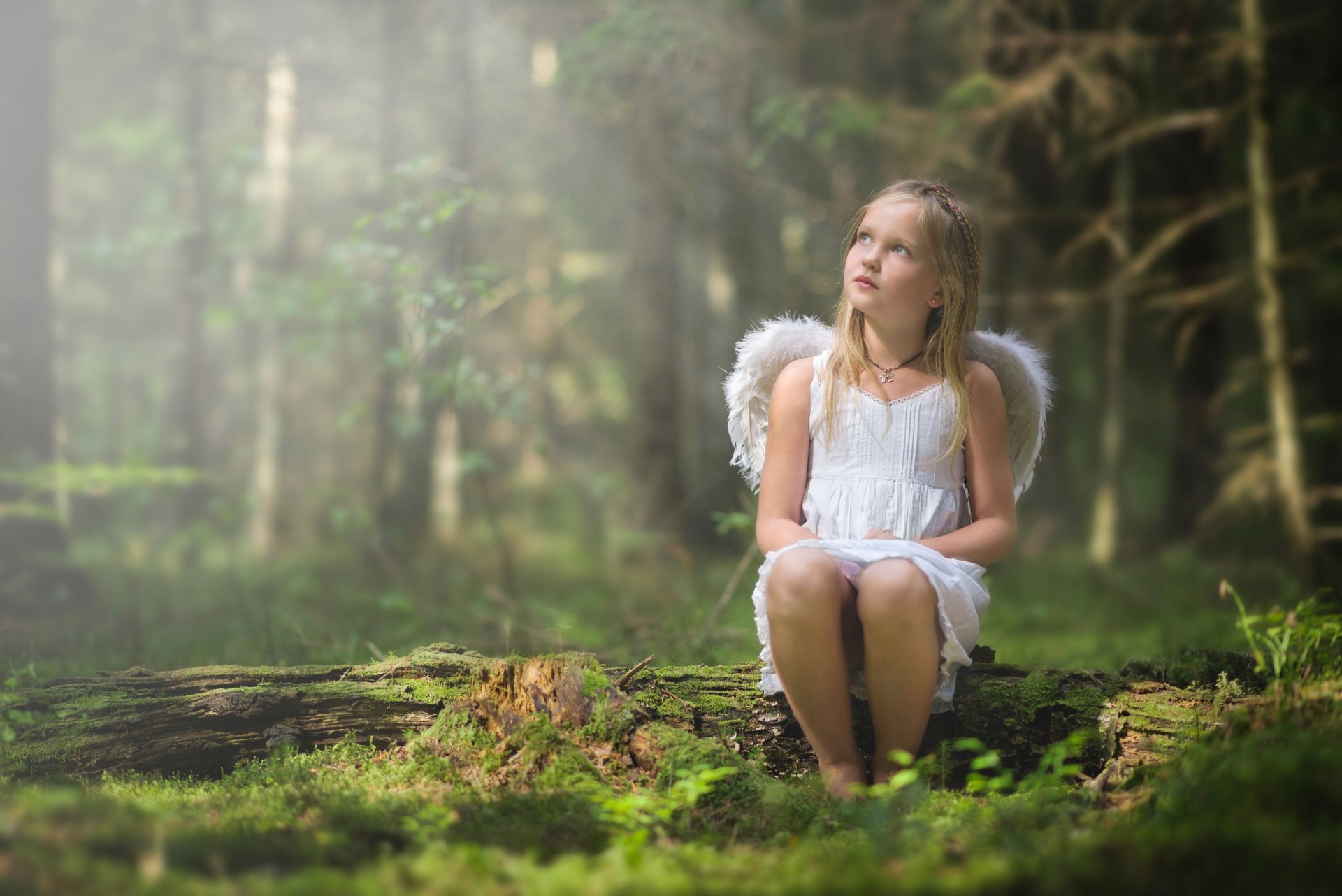 ange fille ailes forêt