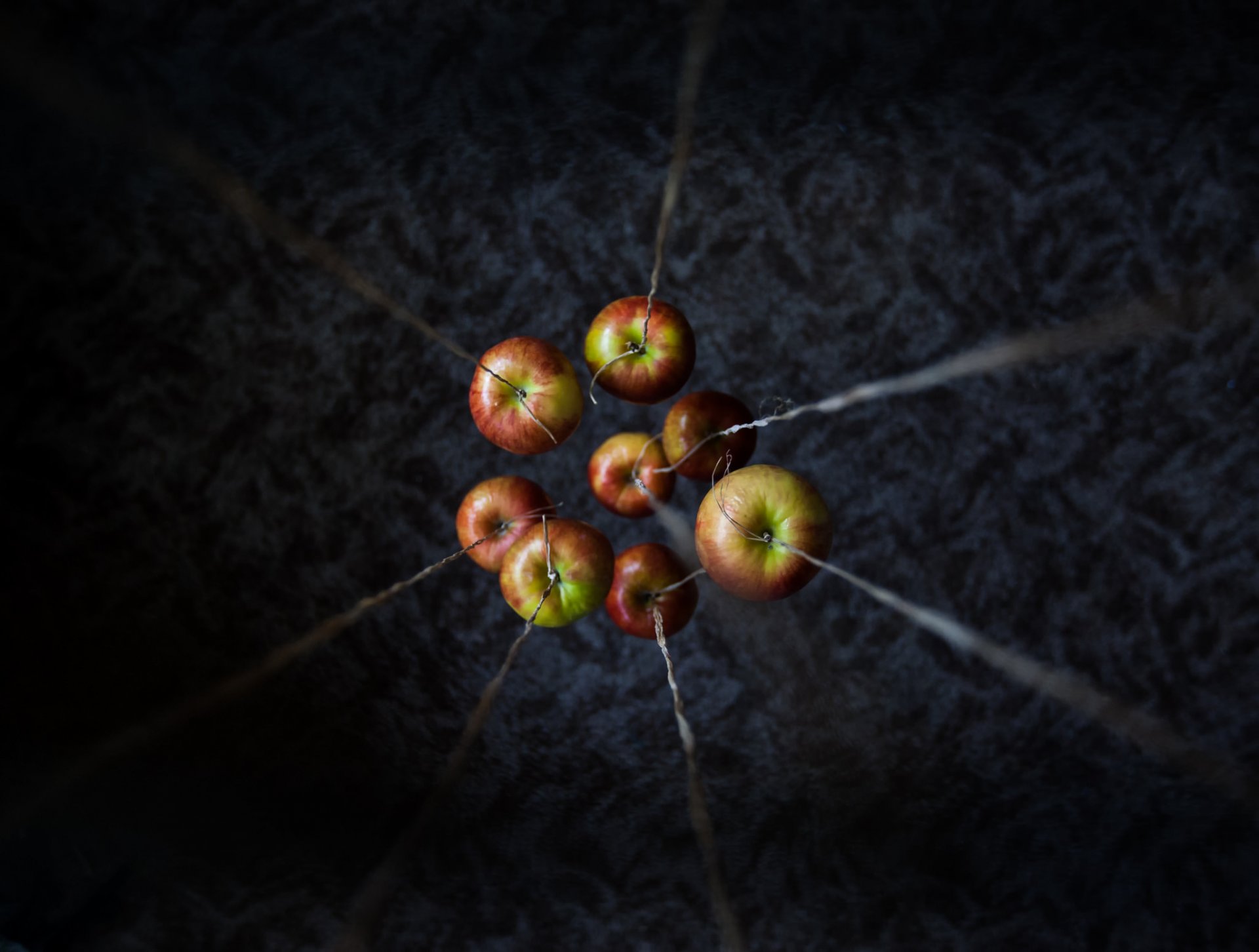 pommes fond