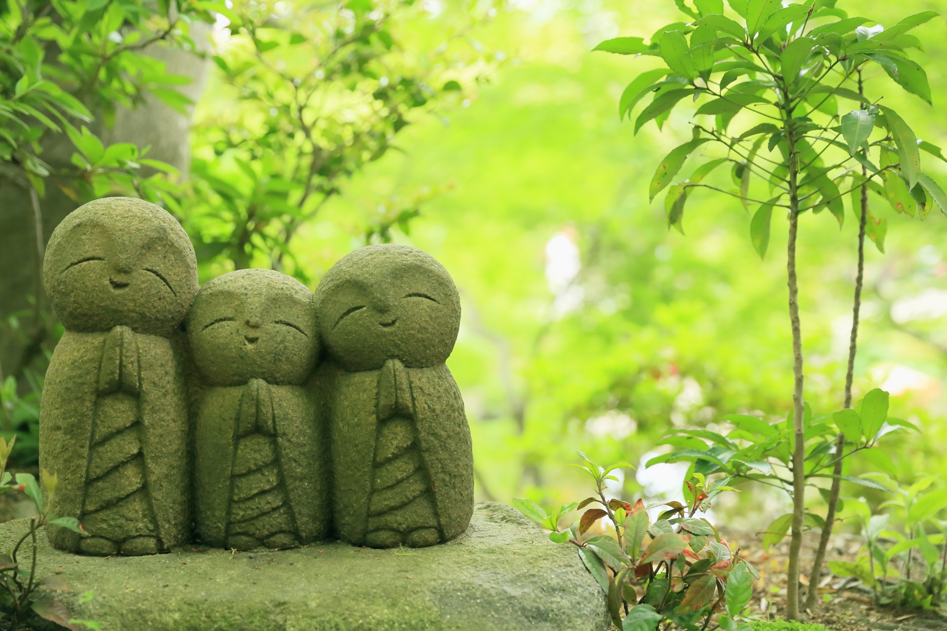 hasedera świątynia kamakura japonia jizo posągi świątynia posągi jizo