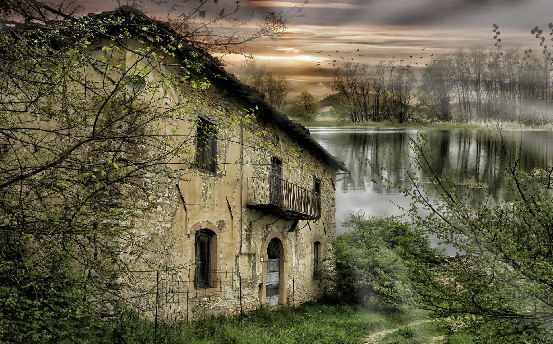 verlassenes haus fluss bäume