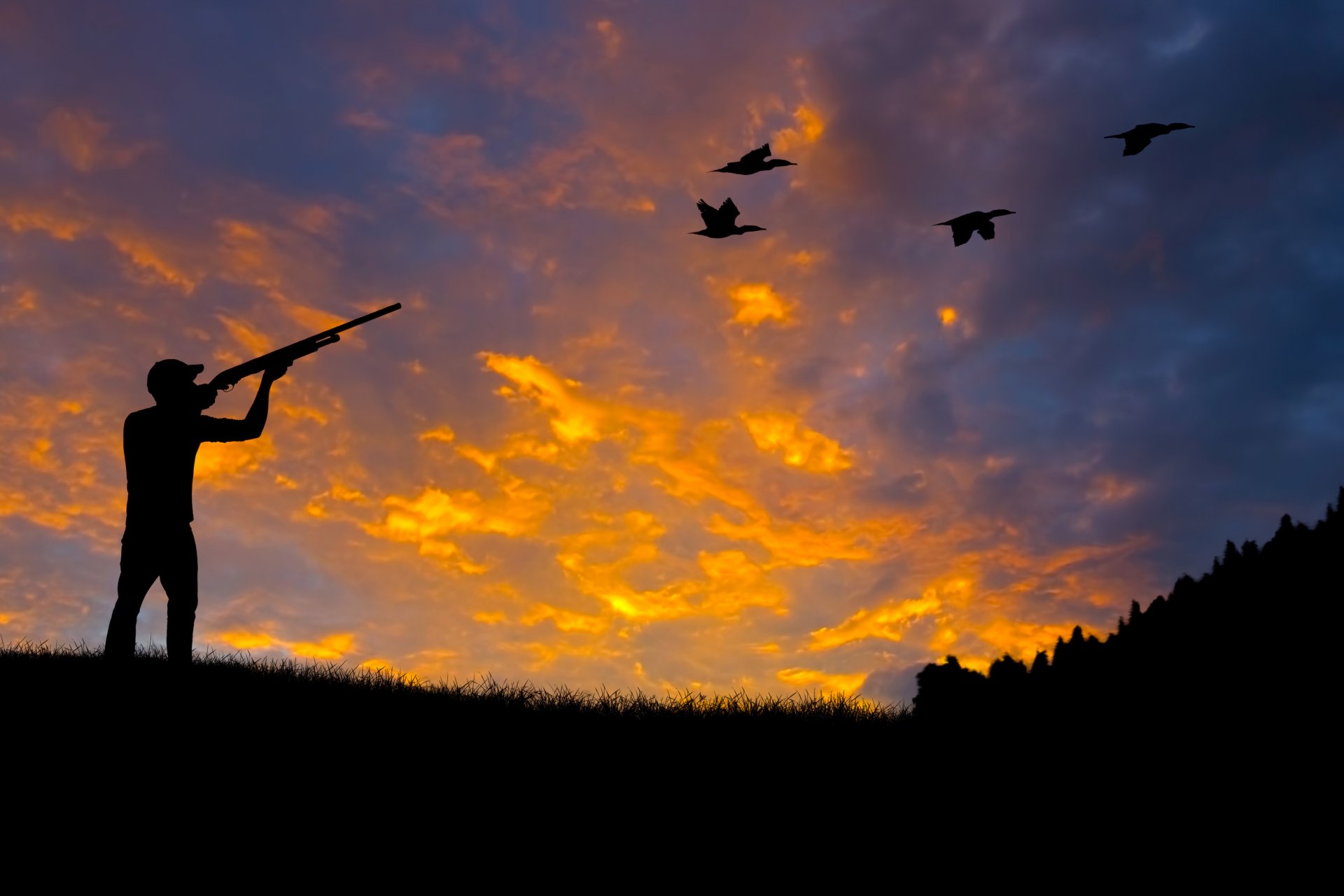 ilhouette hunting weapons shotgun rifle aiming anticipation shooting ducks forest nature beautiful background wallpaper