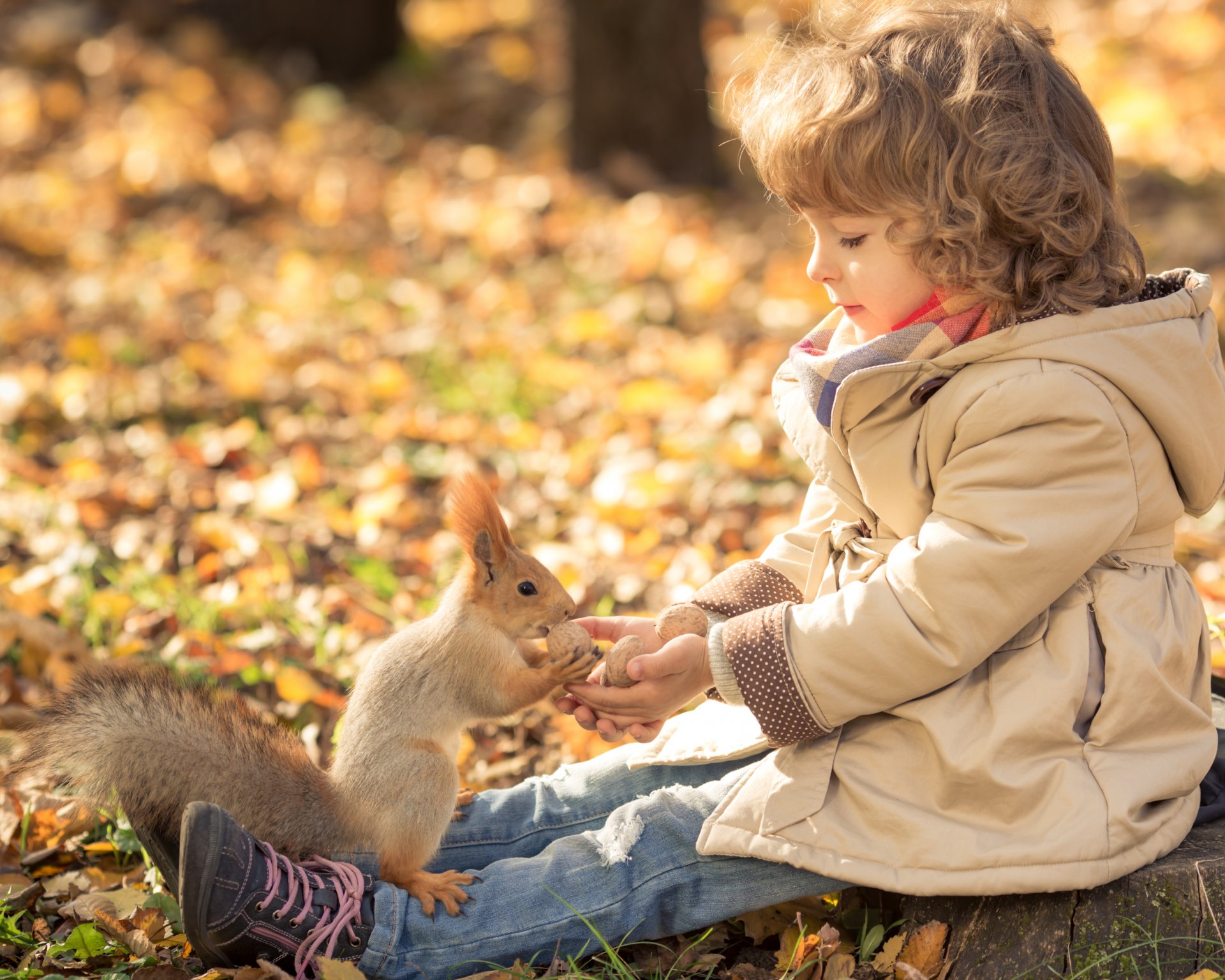 mädchen locken profil walnuss eichhörnchen laub herbst