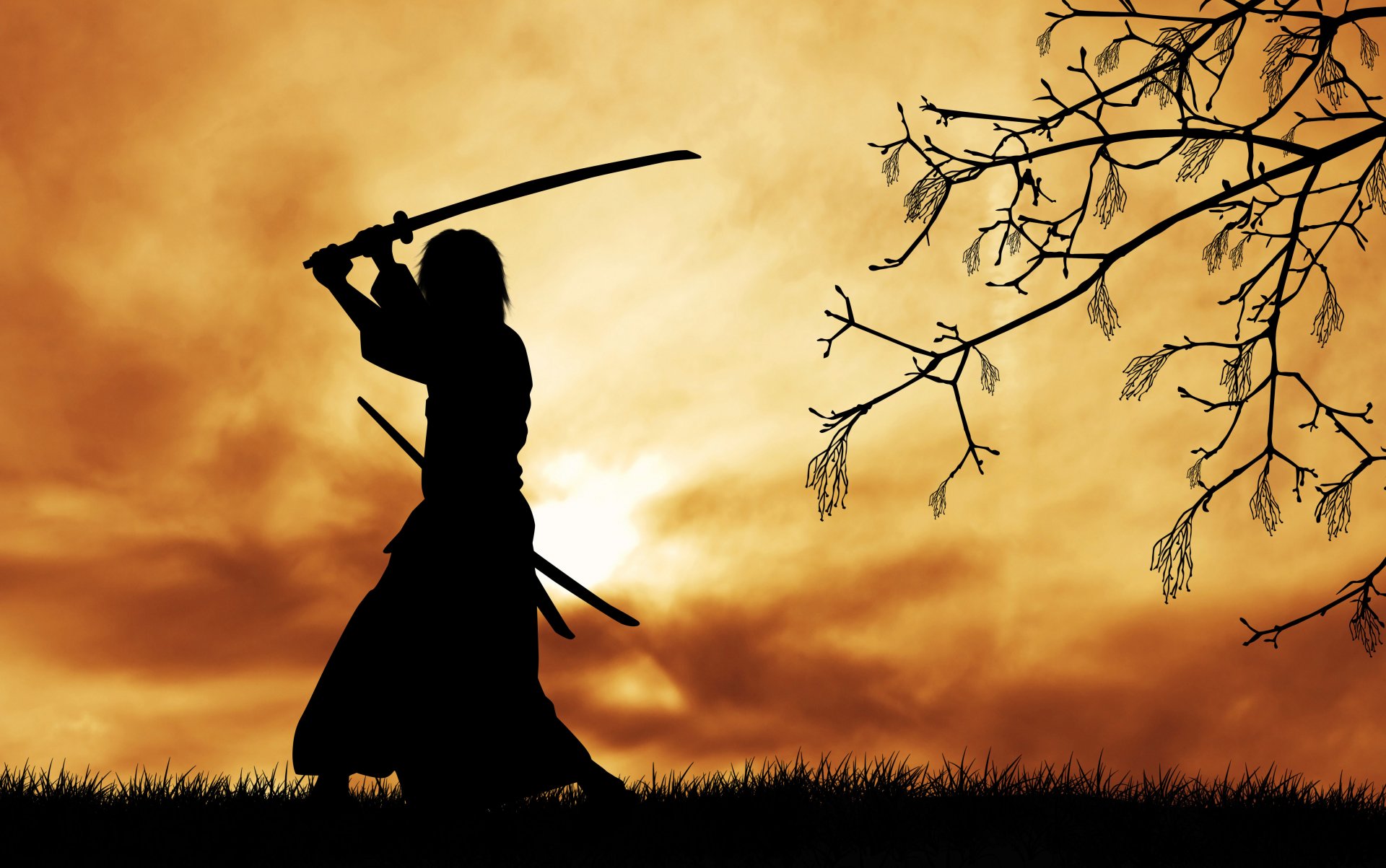 silhouette krieger bushido weg krieger geist code samurai samurai schwert katana morgen baum zweige gelassenheit natur schöner hintergrund tapete