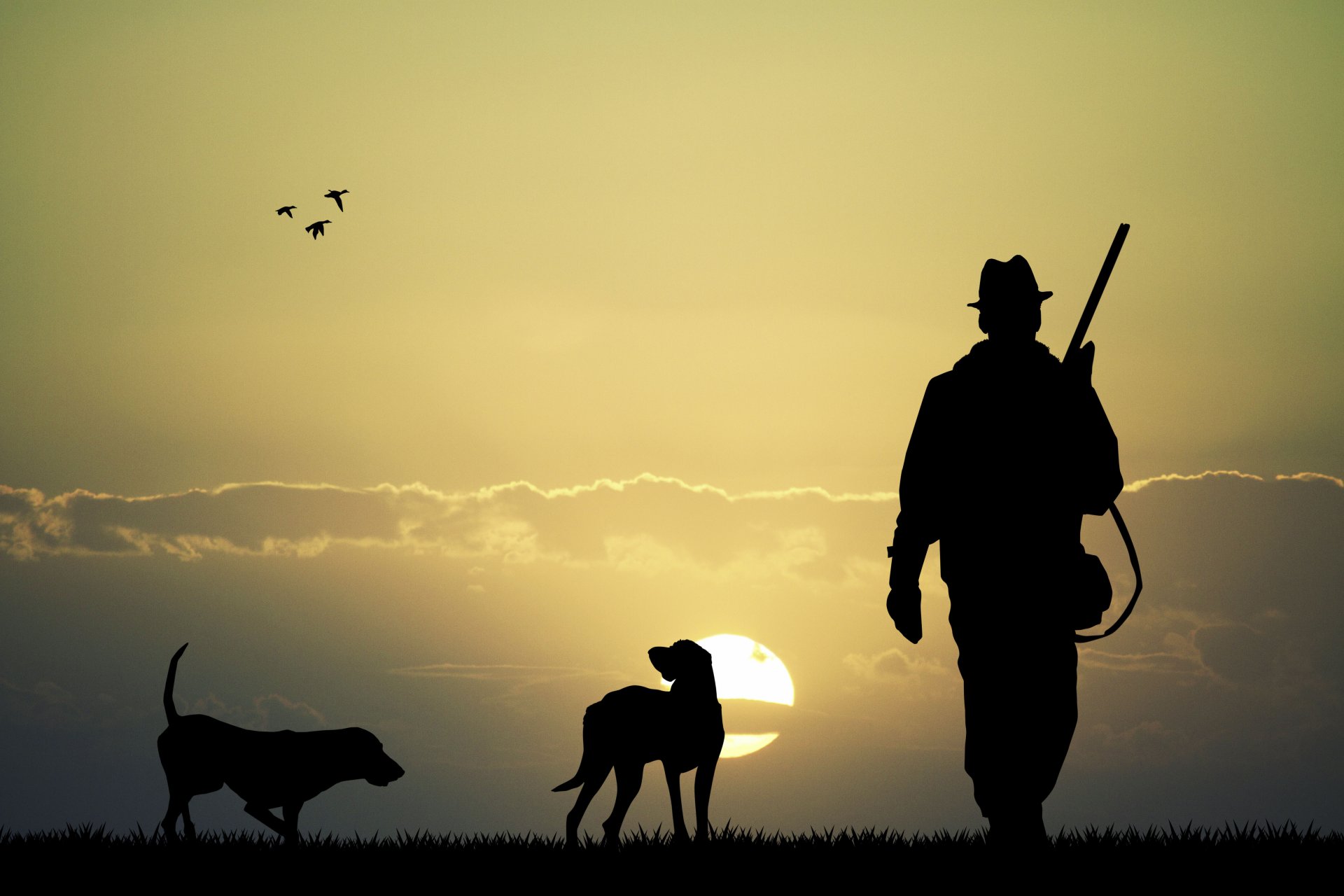 ilhouette hunting weapon gun rifle hunter two dogs plain sunset sky ducks nature beautiful background wallpaper