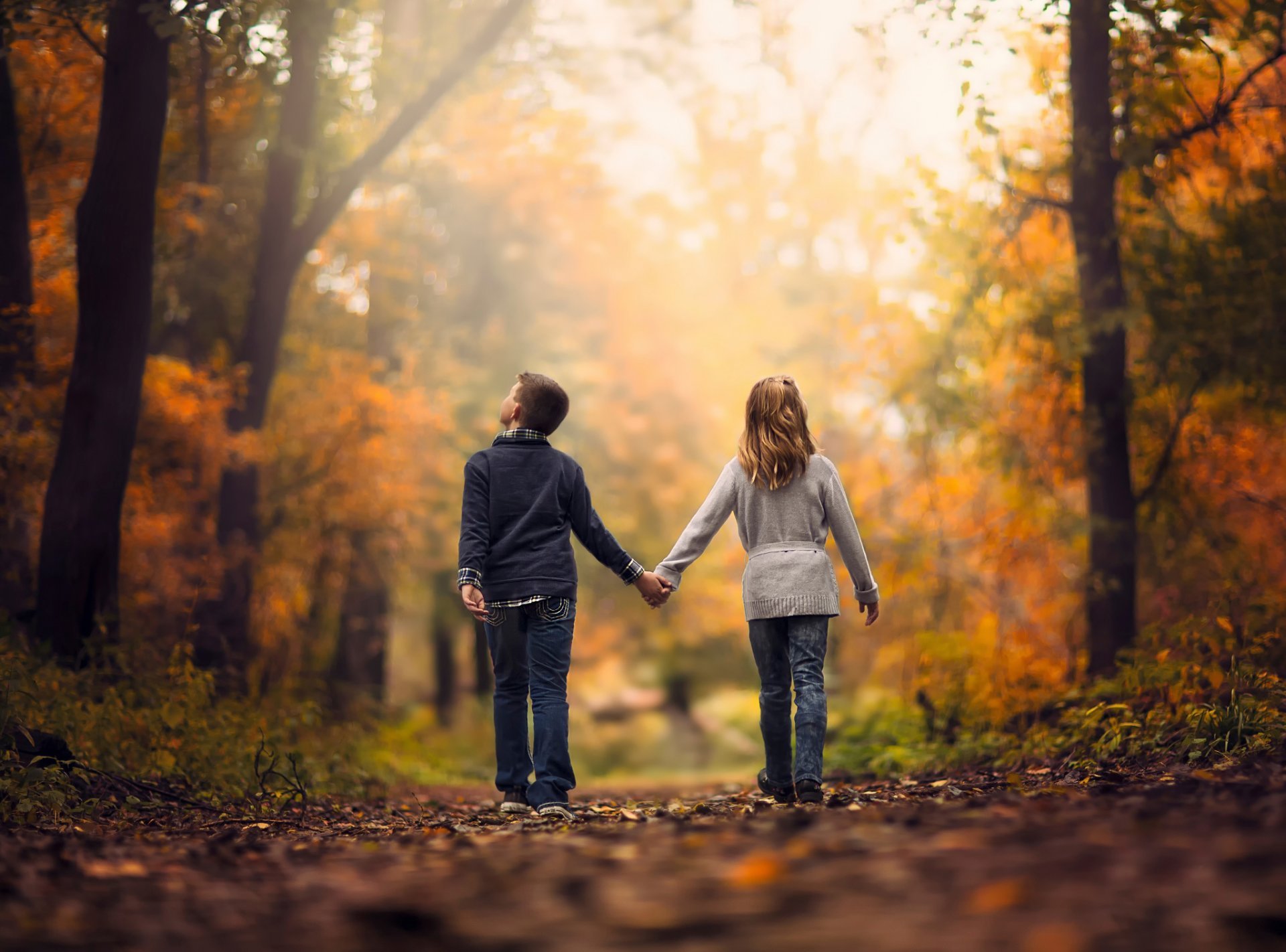 children autumn forest walk