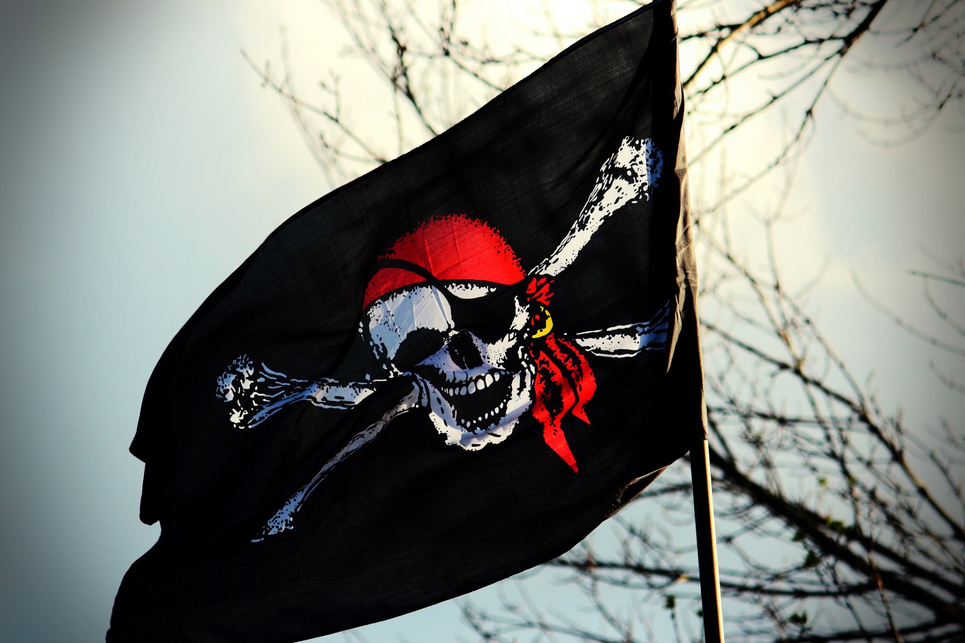 drapeau crâne jolly roger pirate