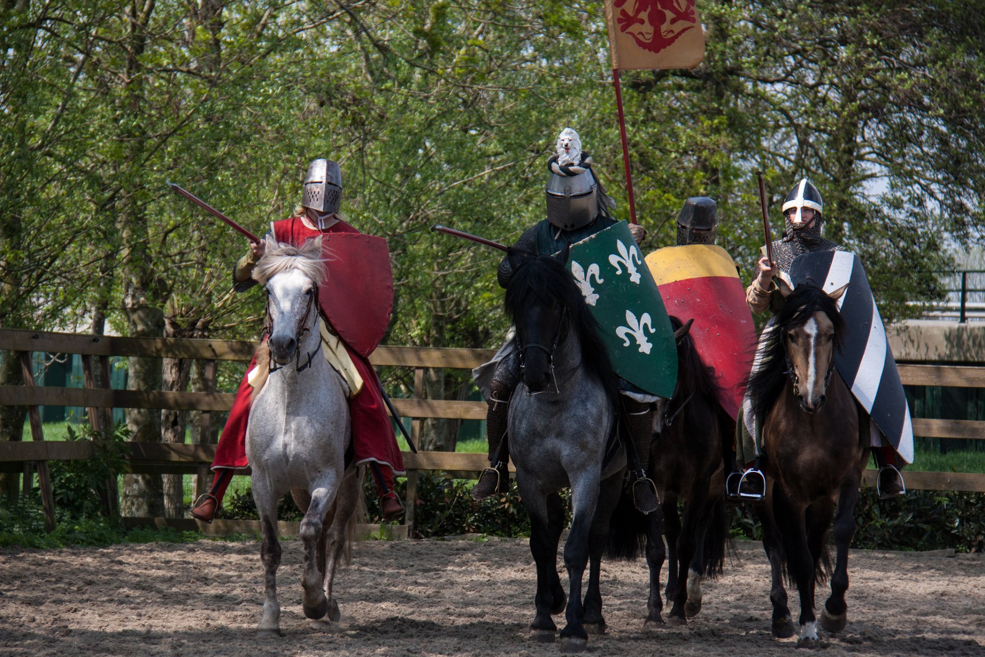 caballeros guerreros armaduras caballos caballos