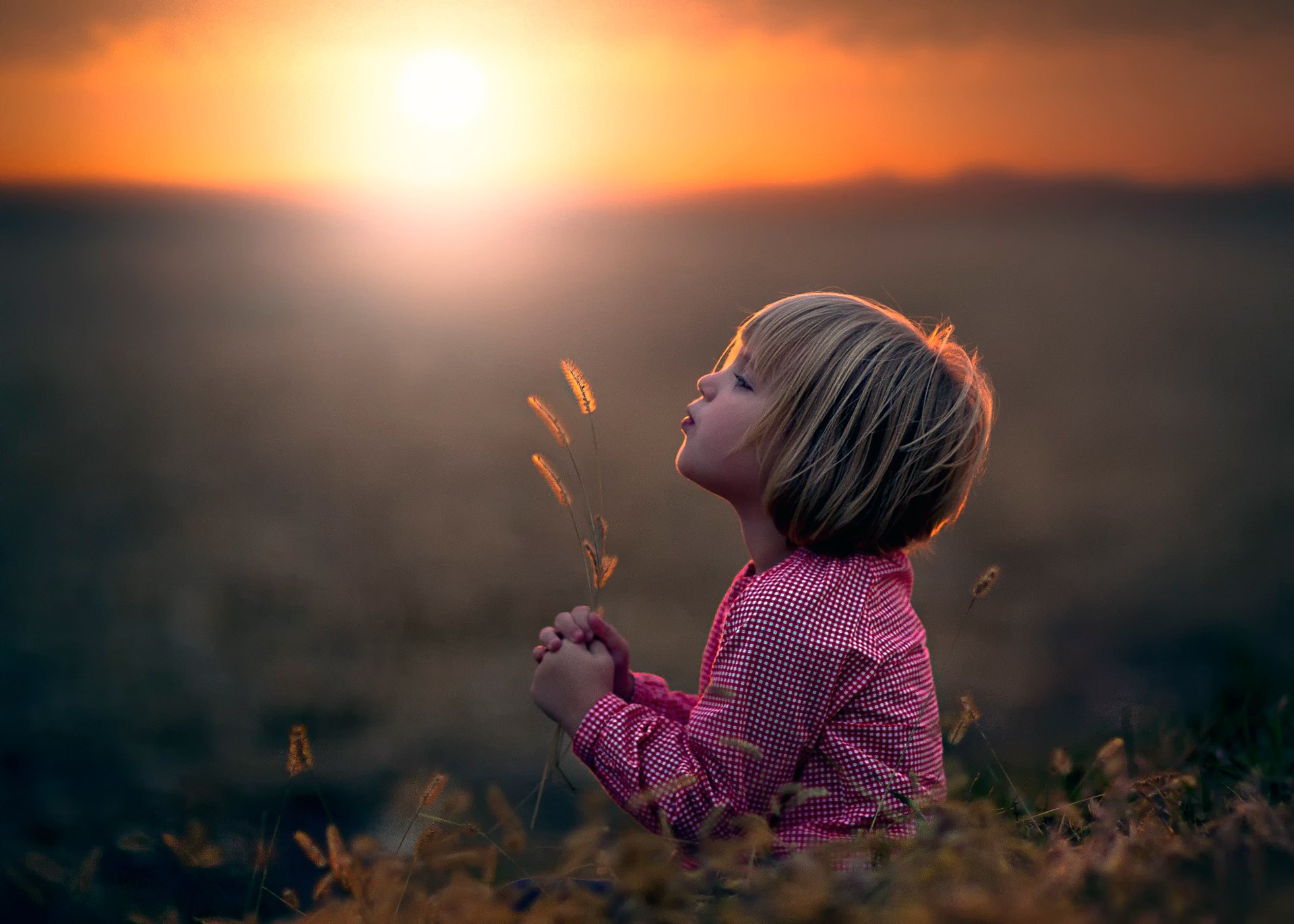 ragazza campo sole