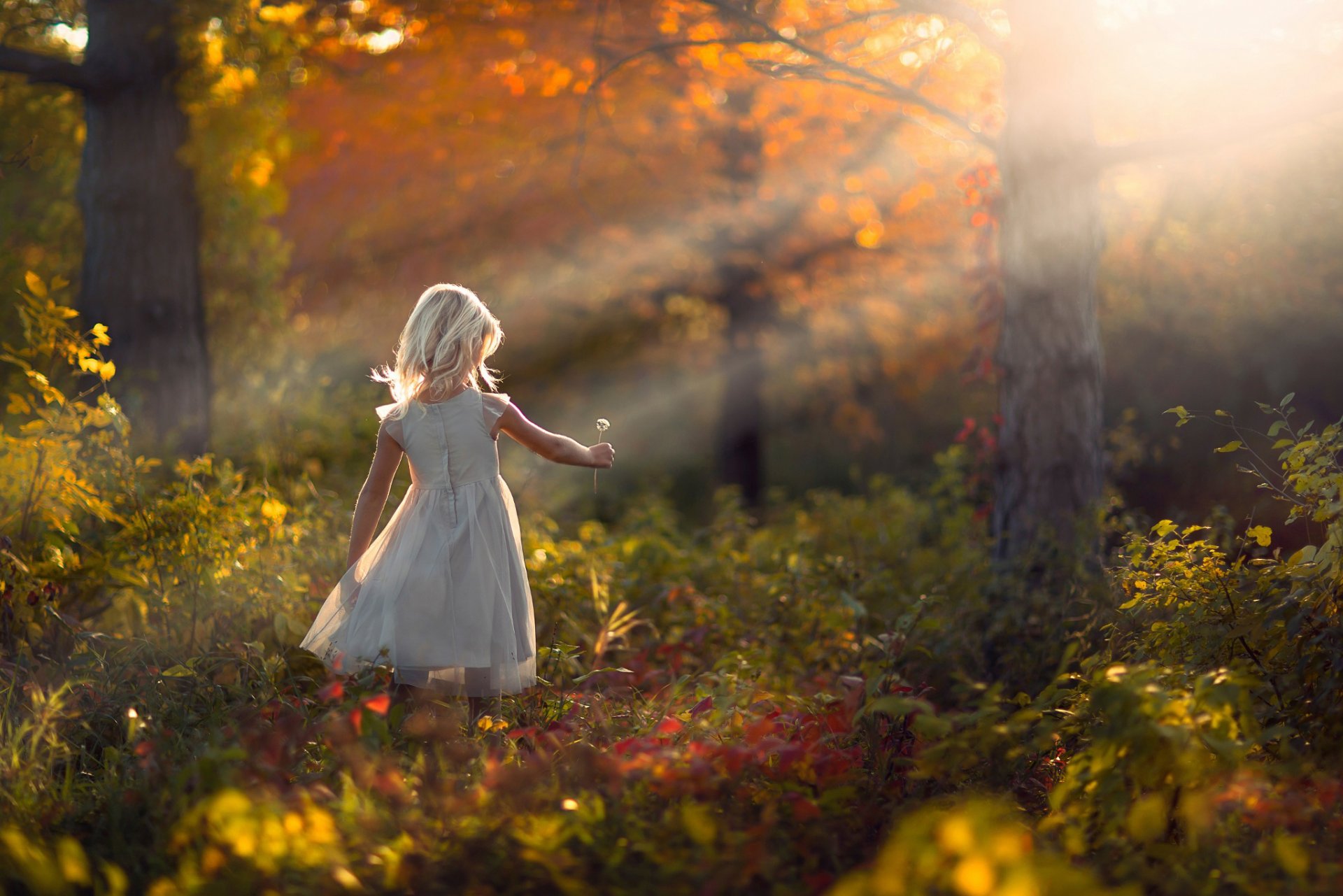 ragazza foresta autunno dente di leone natura