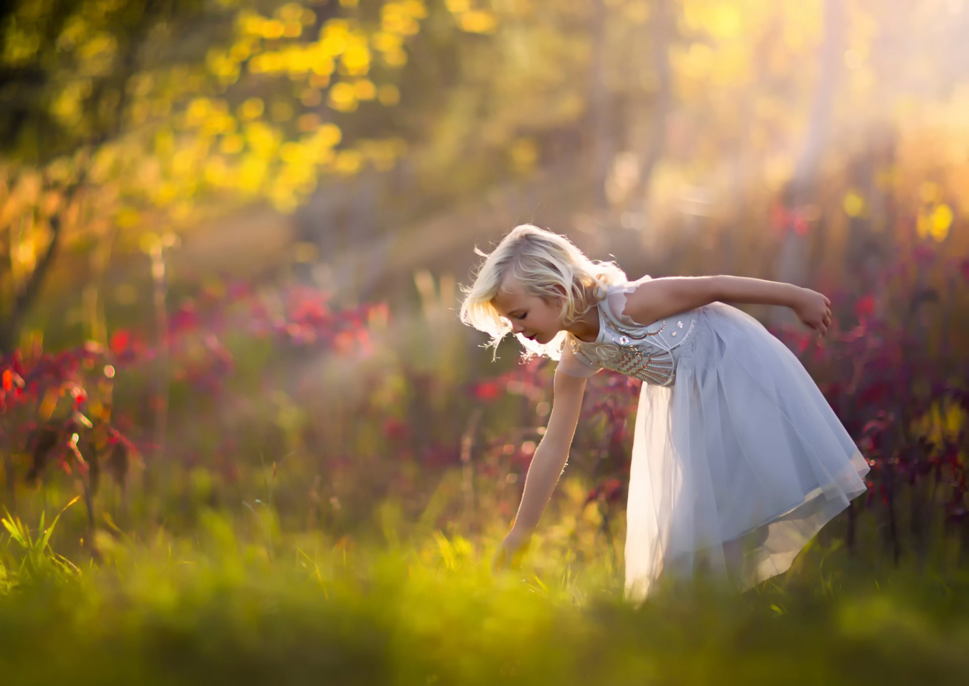 mädchen wald natur kleid