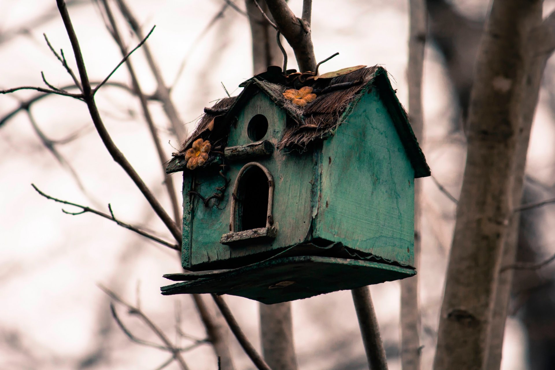 old house starling sadne